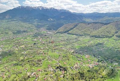 Teren intravilan Bran- Predelut - 24