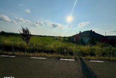 Teren de 27000 mp, în Central - 3