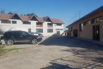 Spațiu comercial, de 100 mp, în Tomești - 2