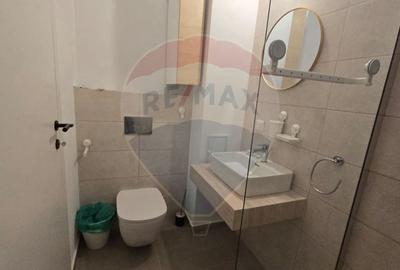 Inchiriere Apartament 3 Camere - Vulcan Residence - 16