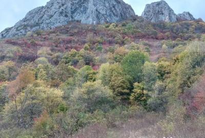 Teren de 16121 mp, în Central - 1