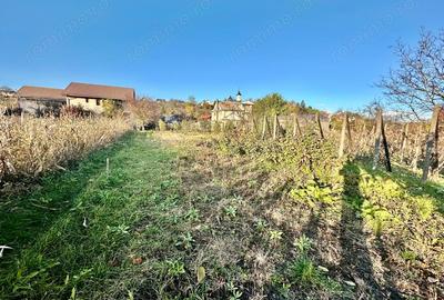 De Vanzare , TEREN in suprafata de 1900 mp , cu CASA BATRANEASCA - 4