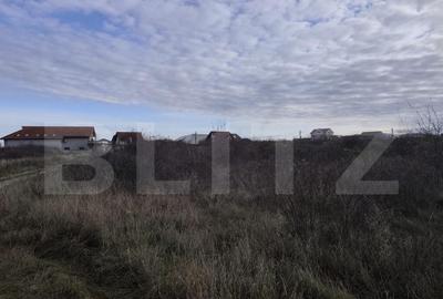 De vanzare teren intravilan in Sanmartin parcelat - 3