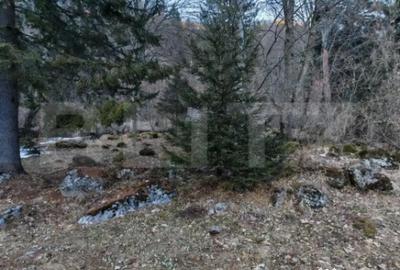 Casă cu 7 camere cu Teren 3800 Mp în Glăjărie - 8