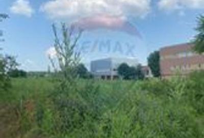 DE VANZARE Teren intravilan 600mp Drumul Piscul Mosului SISESTI - 8