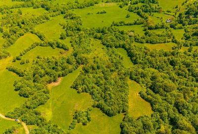 Teren ideal recreere/conectare cu natura/zona Fagaras/achitare in rate - 9