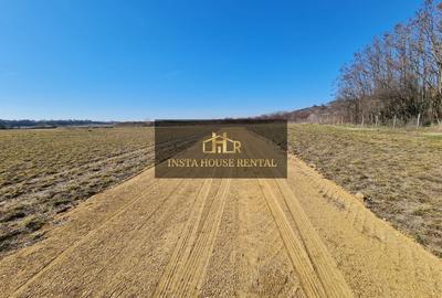 Teren Construcții intravilan de 49283 mp, în Vânătorii Mici - 8
