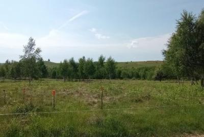 Teren de 900 mp, în Casele Micești - 8