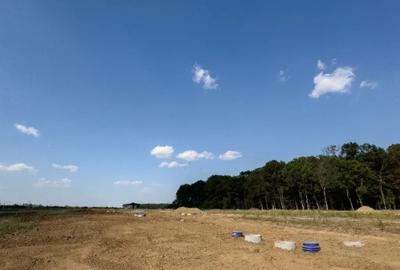 Teren de 554 mp, în Izvorani - 10