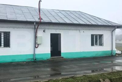 Spațiu comercial, de 65 mp, în Valea - 6