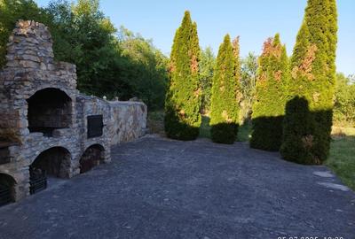 Vând  casă mare cu etaj  8 camere curte cu filigorie  Tinăud -Alesd - 3