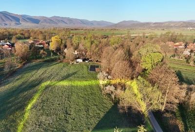 Teren Construcții intravilan de 2000 mp, în Cârnești - 5
