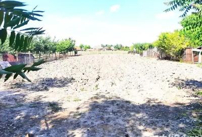 Casă cu 3 camere cu Teren 1430 Mp în Socodor - 4