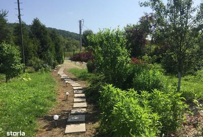 Spațiu comercial, în Rădaia - 6