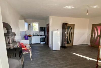 Casa de vanzare Livezile cu 5 arii de teren. - 4