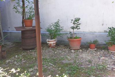Casă cu 4 camere în Dubova - 7