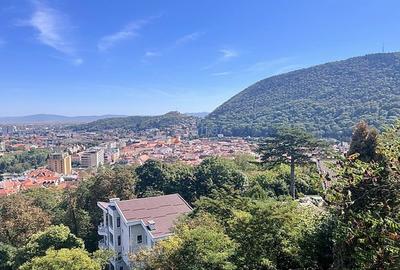 Apartament cu 3 camere decomandat, mobilat în Drumul Poienii - 2