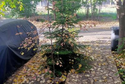 Vand Casa P+E+Pod , Bragadiru - 3