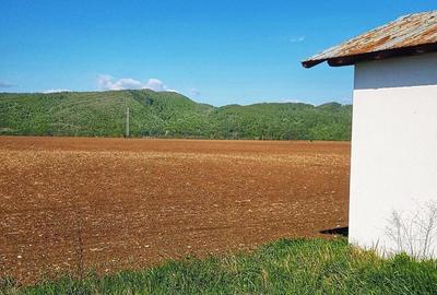 Teren de 2500 mp, în Bănești - 2