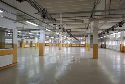 Hală de producție / depozitare - 1.300 mp utili, etaj 1, zona centrala - 3