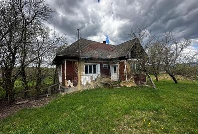 Teren Construcții intravilan de 5097 mp, în Dumbrăvița - 2