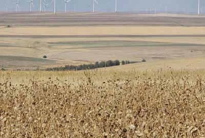 Spațiu comercial, în Saraiu - 4