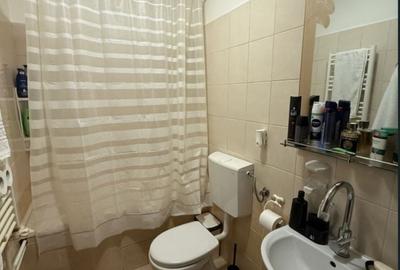 Apartament cu 2 camere semidecomandat în Lipovei - 5