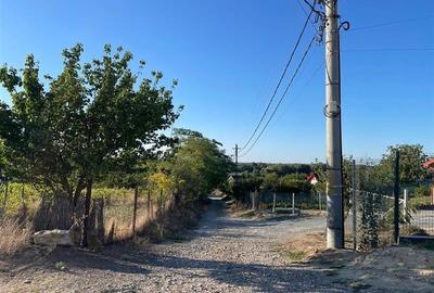 Teren intravilan de vanzare in localitatea Nufaru - 5