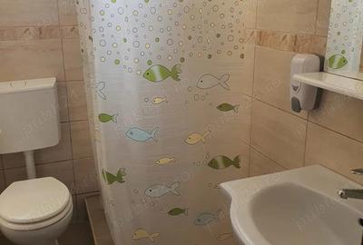 Apartament doua camere la curte, zona 1 Mai. - 9