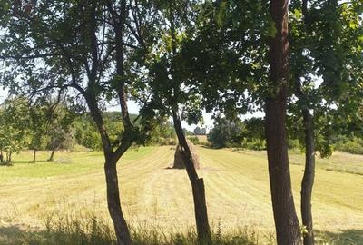 Teren de 5600 mp, în Hălmagiu - 2