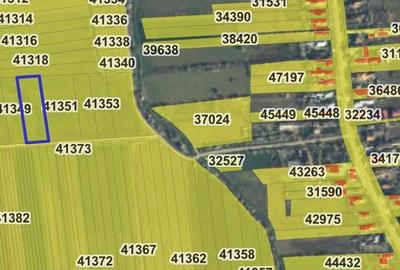 Teren de 3300 mp, în Șimnicu de Sus