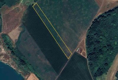 Teren de 6884 mp, în Central - 8