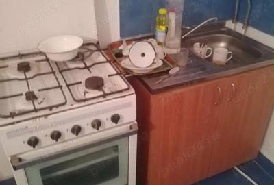 Casă cu 3 camere cu Teren 1234 Mp în Burila Mare - 2