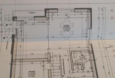 Casă cu Teren 540 Mp în Oncea - 8