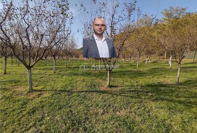 Teren de 1445 mp, în Slatina-Nera