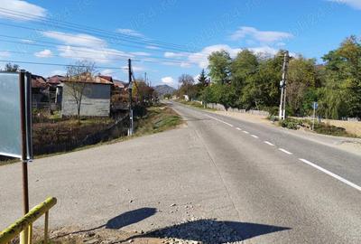 Teren 10000mp.Loc Calvini - 3