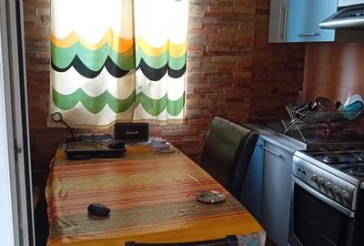 Apartament cu 3 camere decomandat în Ferdinand - 26