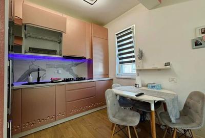 Apartament cu 2 camere decomandat în Dumbrăvița - 14