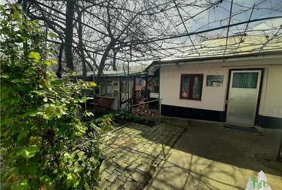 Casa cu livada/teren 1200 mp - 6