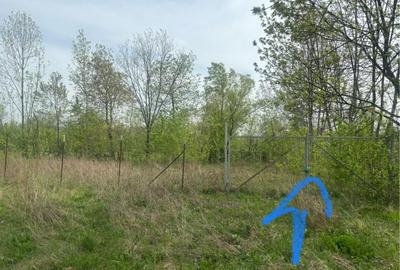 Spațiu comercial, în Brebu - 5