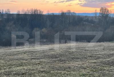 Teren de 27759 mp, în Central - 6