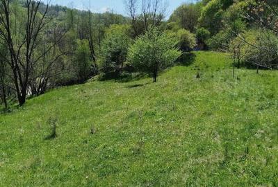 Teren de 7795 mp, în Opătești - 1