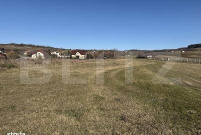 Spațiu comercial, în Badon - 2