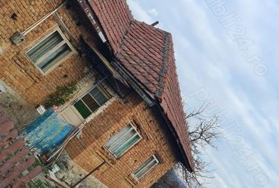 Casă în Jiblea Nouă - 4