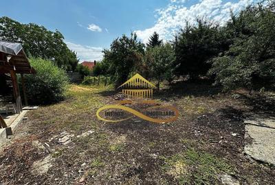 Casa batraneasca cu 1008 mp teren de vanzare in Sarata / ... - 6