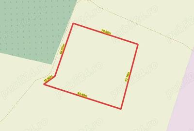 Teren de 6350 mp, în Silistraru - 5