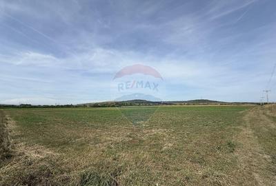 Teren Investitii 2.5 Ha | Zona Tetarom III Rascruci - 2