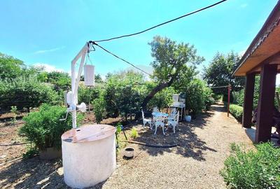 Casa cu teren de vanzare Casa cu teren de vanzare - 3