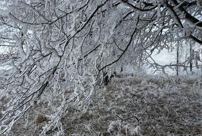 Apartament lux 2 camere de inchiriat Future Residence - 18