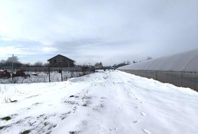 Teren Construcții intravilan de 615 mp, în Jilava - 3